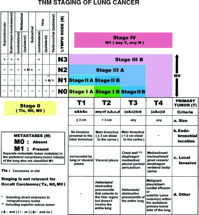 Lung Nodule Size Chart