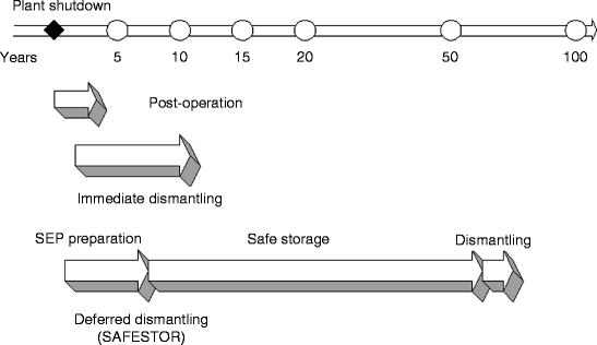 Decommissioning Of Nuclear Plants Springerlink