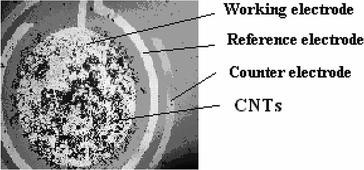 Nanobiosensing Electronics And Nanochemistry For Biosensor Packaging Springerlink