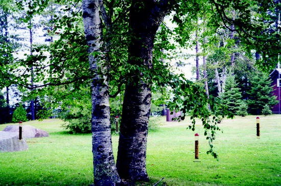 Sour Grapes Methyl Anthranilate As Feeding Repellent For Birds Springerlink