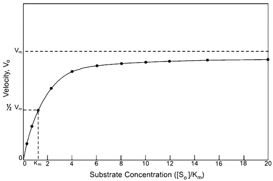 Application of Enzymes in Food Analysis  SpringerLink
