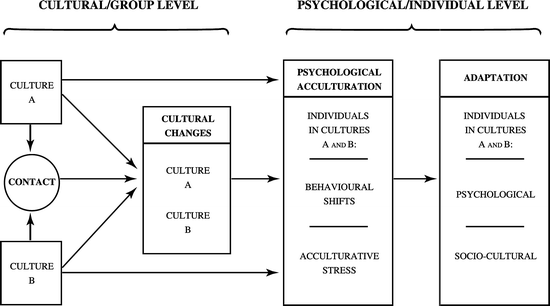 Mobility And Acculturation Springerlink Mobility And Acculturation Springerlink