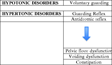 Pelvic Floor Dysfunction In Bladder Pain Syndrome Springerlink