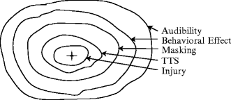 Effects of Underwater Noise on Marine Mammals | SpringerLink