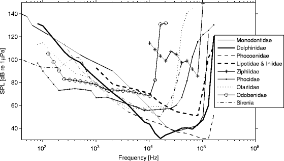 Effects of Underwater Noise on Marine Mammals | SpringerLink