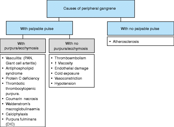 Peripheral Gangrene Affecting A Family Springerlink