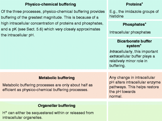 chemical buffer