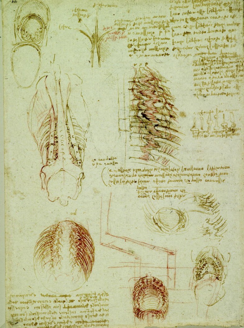 Leonardo S Use Of Drawing Springerlink