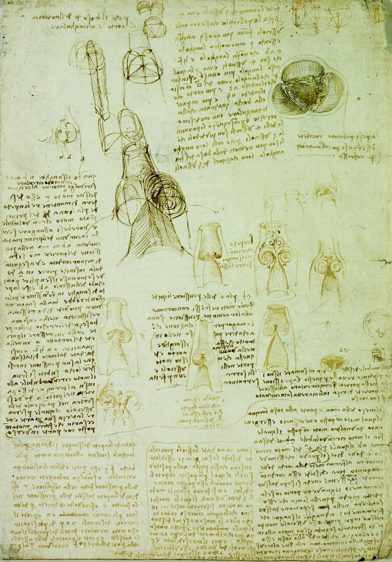 Leonardo S Use Of Drawing Springerlink