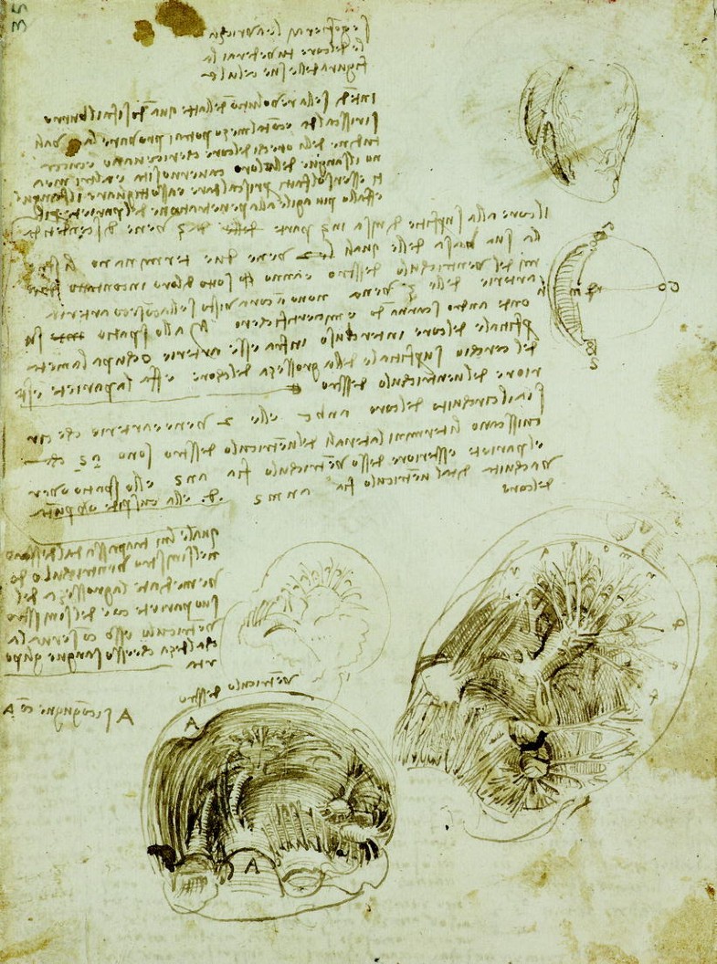 Leonardo S Use Of Drawing Springerlink