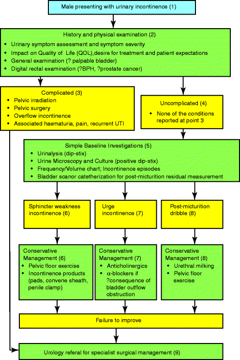 Continence Assessment Chart