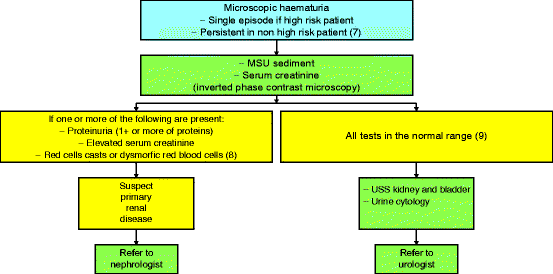 Microscopic Non Visible Hematuria Springerlink