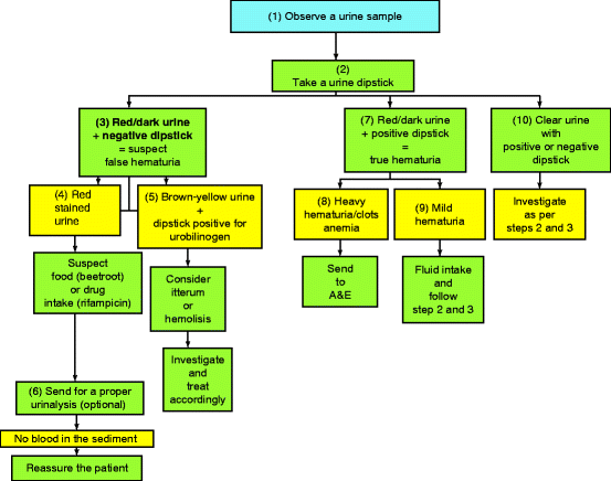 Hematuria Color Chart