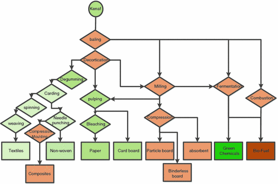 Kenaf Fibre Crop For Bioeconomic Industrial Development Springerlink