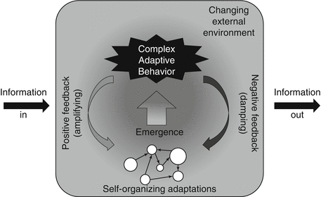 Adaptive Behaviors In Complex Clinical Environments Springerlink