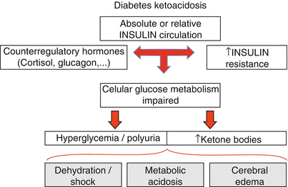 Diabetic Ketoacidosis | SpringerLink