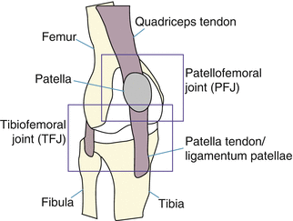 Terminal J Sign Kinematics of the Natural and Replaced Knee | SpringerLink