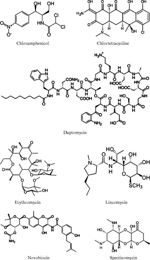 The Early History Of Antibiotic Discovery Empiricism Ruled
