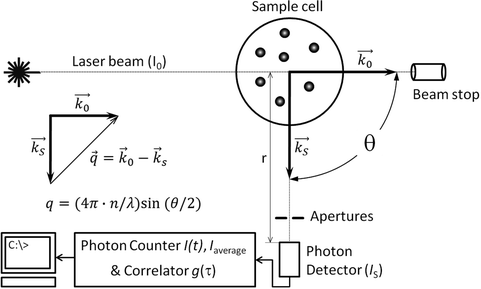 dynamic light scattering protein dynamic light scattering protein