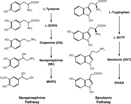 Antidepressant Antianxiety Agents Springerlink