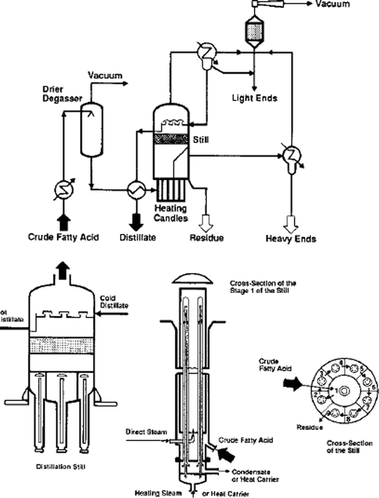 Soap, Fatty Acids, and Synthetic Detergents SpringerLink