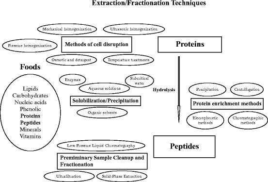 Technique what is fractionation Fractionation