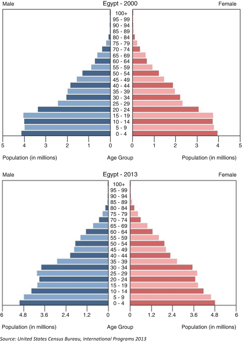 Health System in Egypt SpringerLink
