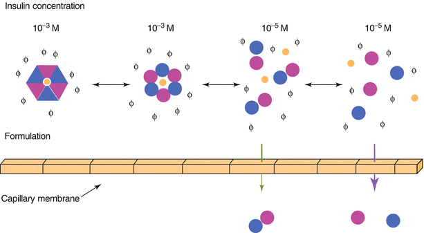 Insulin Springerlink