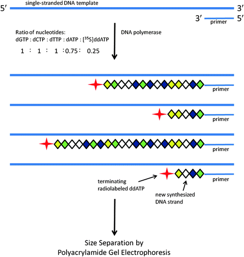 springerlink