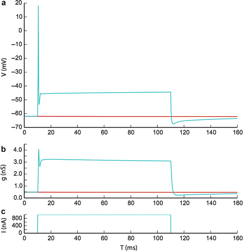 Delayed Rectifier and AType Potassium Channels SpringerLink