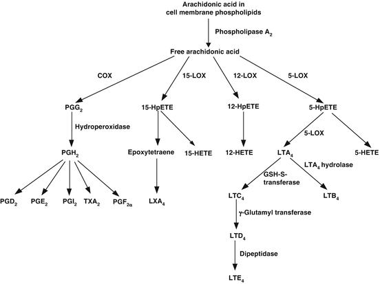 Role Of Lipids In Human Nutrition Springerlink