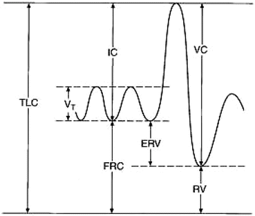 Medical Images And Physiological Signals Springerlink