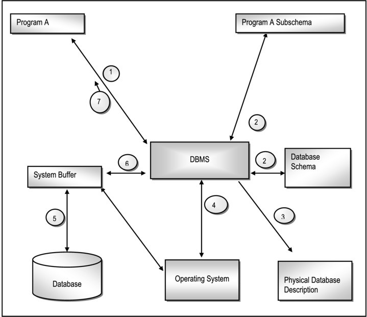 The Database System Environment | SpringerLink