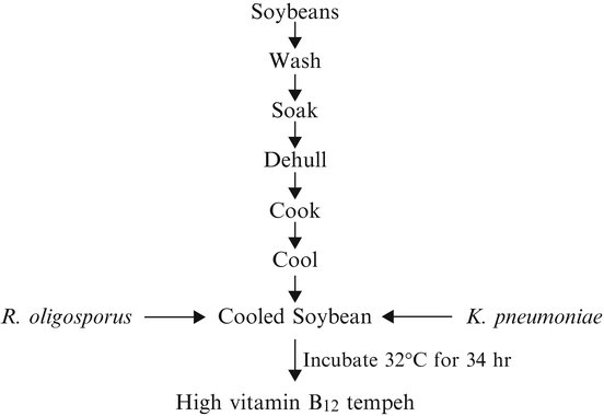 Flow Chart Of Vitamin B12 Production