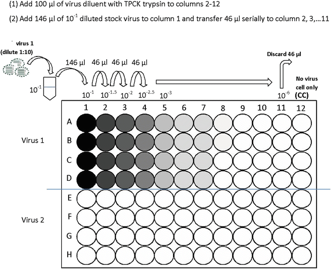 Microneutralization Assay for Swine Influenza Virus in Swine Serum SpringerLink