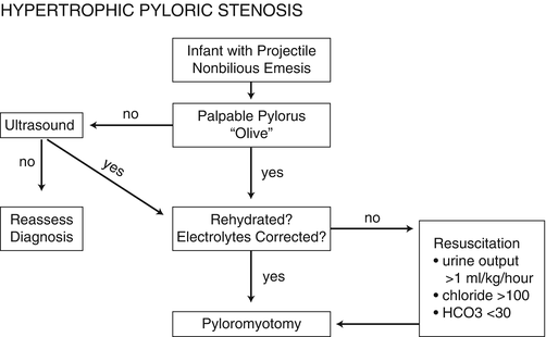 Hypertrophic Pyloric Stenosis | SpringerLink