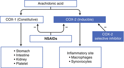 Nsaids And Alpha 2 Adrenergic Agonists Springerlink