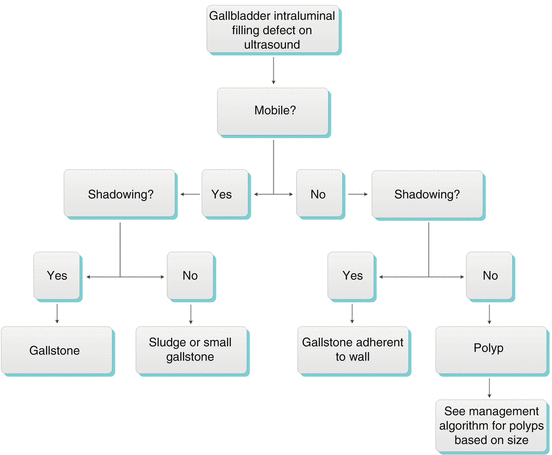 The Gallbladder Springerlink