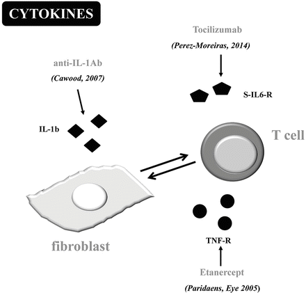 Future Therapy For Graves Disease And Ophthalmopathy - 