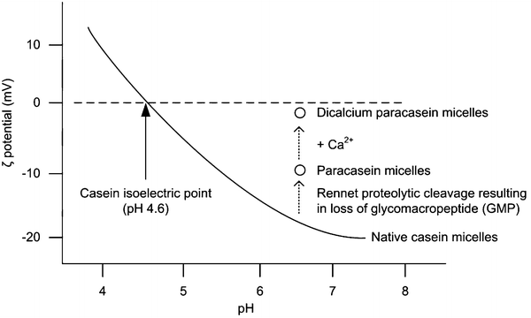 Functional Milk Proteins Production and Utilization: Casein-Based  Ingredients | SpringerLink