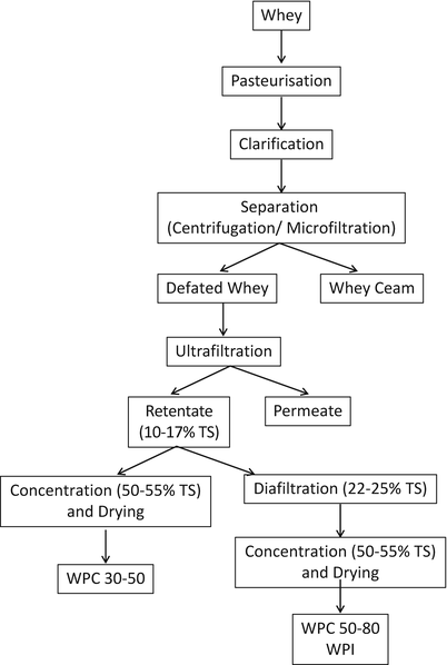 Whey Processing Flow Chart