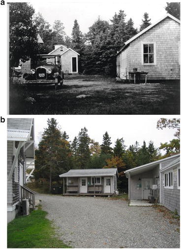 Early Years On Mount Desert Island The First Generation