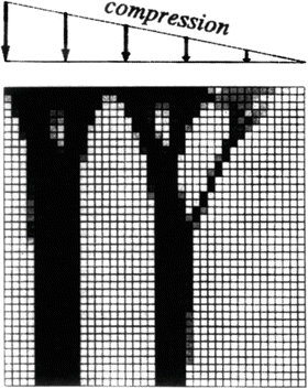 Mechanical Adaptability Of The Skeleton Springerlink