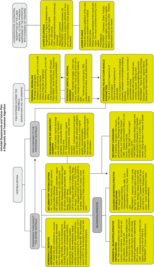 Diagnosis And Management Of Sexual Pain Disorders Dyspareunia