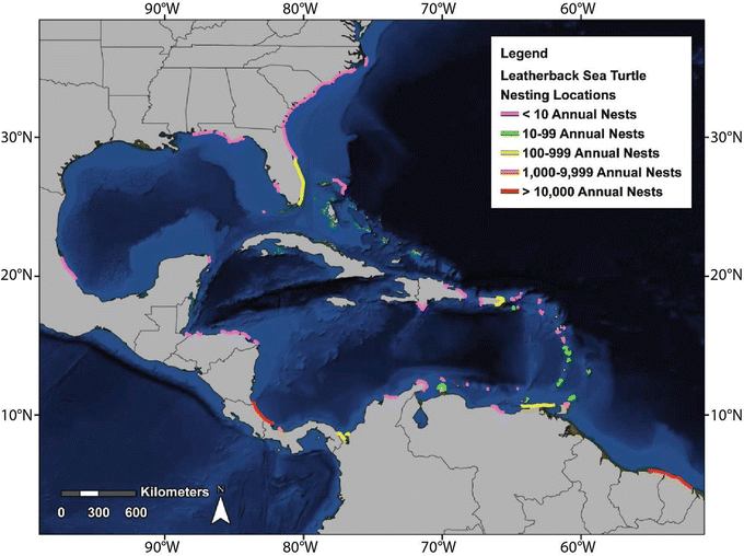 Sea Turtles Of The Gulf Of Mexico Springerlink - 