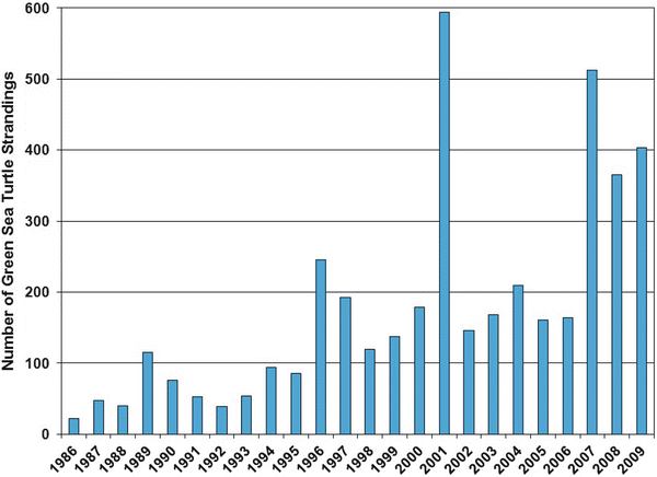 Green Sea Turtle Population Chart