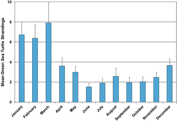 Sea Turtles Of The Gulf Of Mexico Springerlink