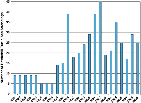 Green Sea Turtle Population Chart