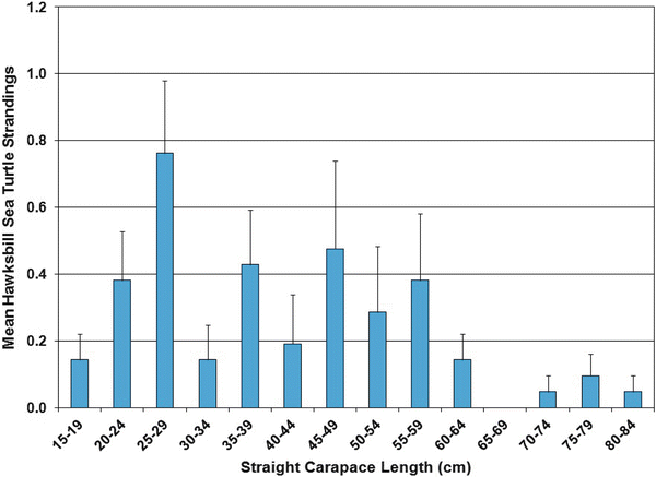 Sea Turtles Of The Gulf Of Mexico Springerlink