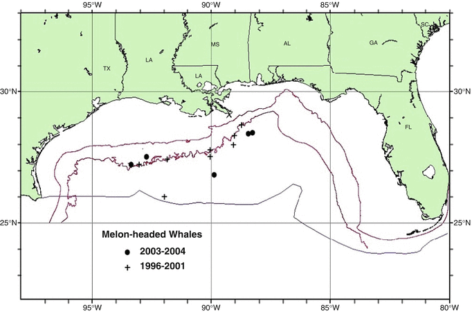 Marine Mammals Of The Gulf Of Mexico Springerlink - open image in new window